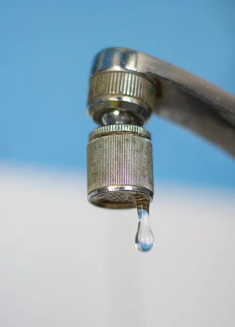 Détection de fuite d'eau par un professionnel